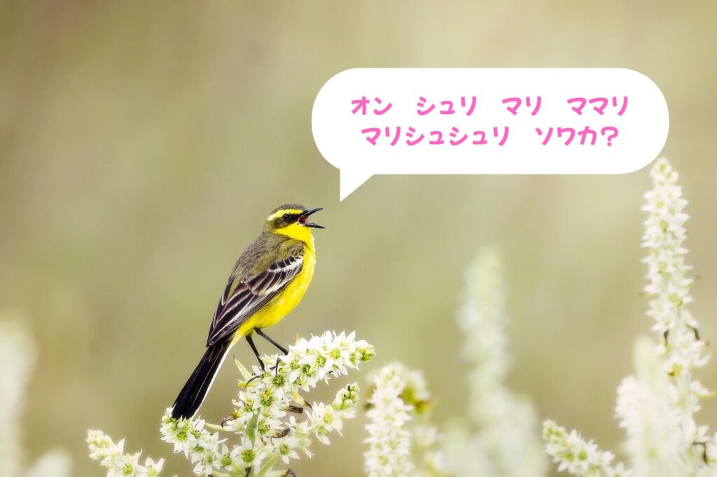 一羽の鳥がしゃべっている