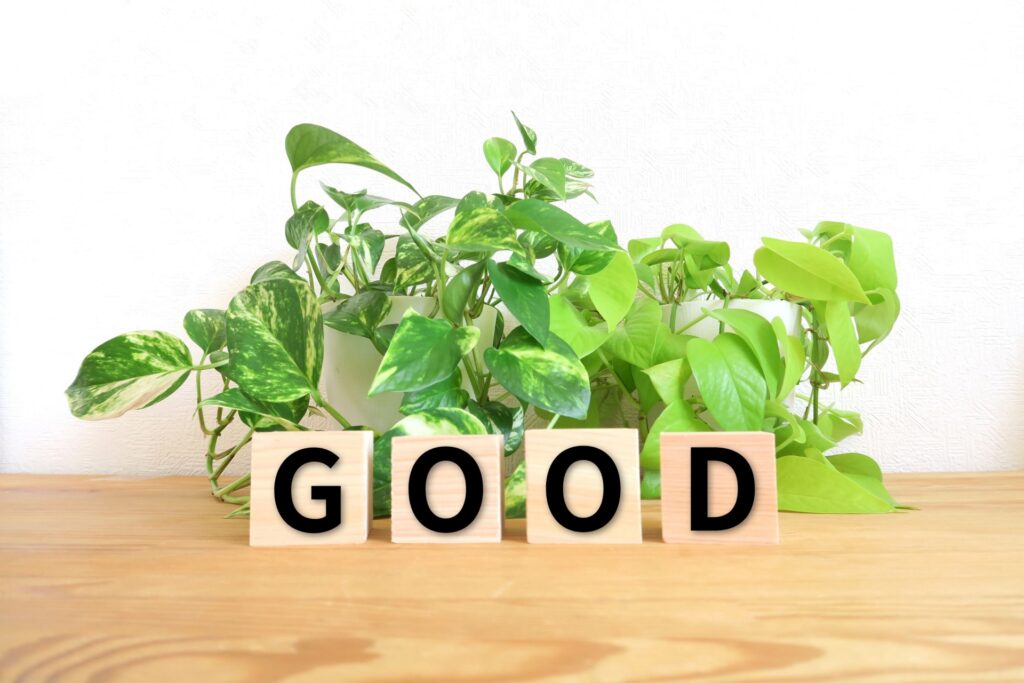 GOODの文字が書かれた積み木と観葉植物